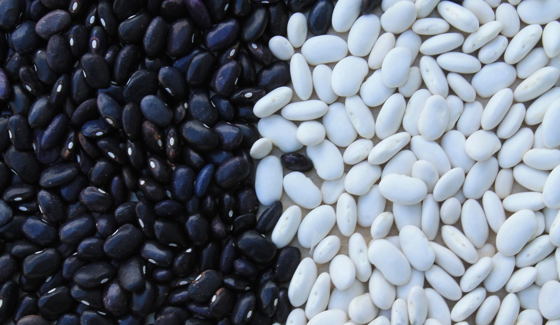 Beans